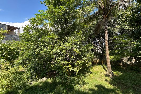 Quintal de casa à venda com 2 quartos, 121m² em Engenho de Dentro, Rio de Janeiro