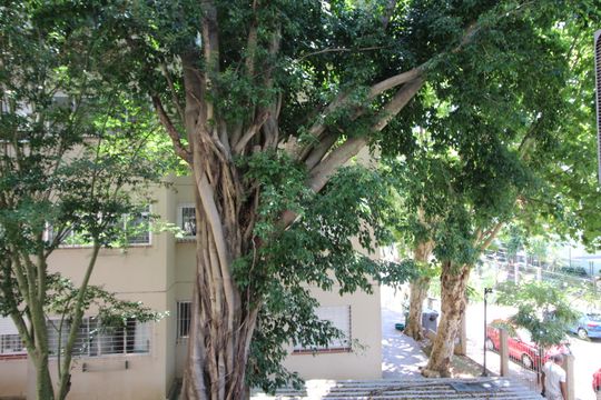 Vista de apartamento para alugar com 1 quarto, 40m² em Jardim Itu, Porto Alegre