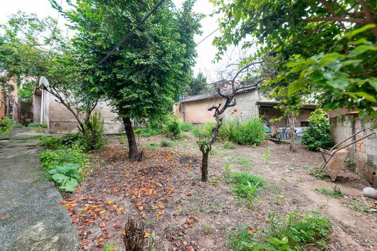 Quintal de casa para alugar com 3 quartos, 1000m² em Aparecida, Belo Horizonte