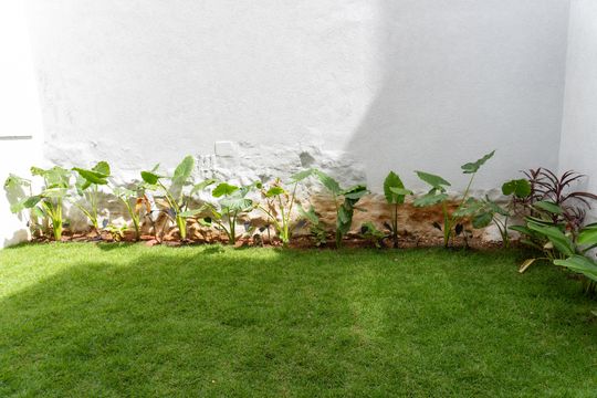 Quintal de casa à venda com 5 quartos, 360m² em Nova Granada, Belo Horizonte