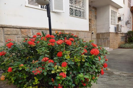 Área externa de apartamento à venda com 3 quartos, 127m² em Tijuca, Rio de Janeiro