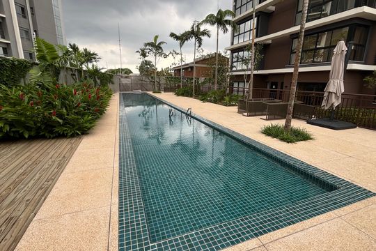 Apartamento para alugar com 1 quarto, 55m² em Nova Campinas, Campinas