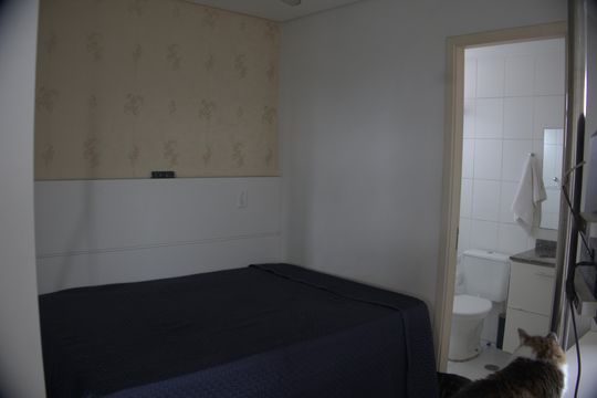 Quarto de apartamento para alugar com 1 quarto, 28m² em Parque Independencia, São Paulo
