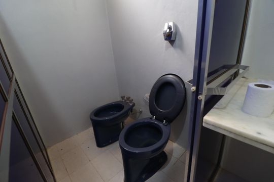 Banheiro Social 2 de casa para alugar com 9 quartos, 487m² em Tabajaras, Uberlândia