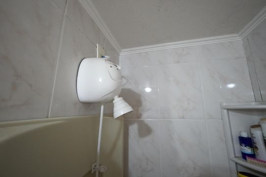 Apartamento à venda com 3 quartos, 61m² em Ipiranga, São Paulo