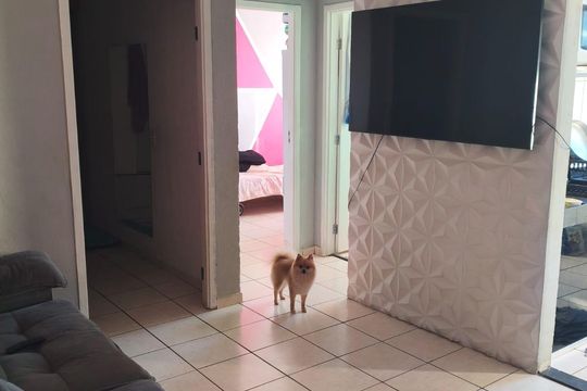 Apartamento à venda com 2 quartos, 45m² em Europa, Contagem