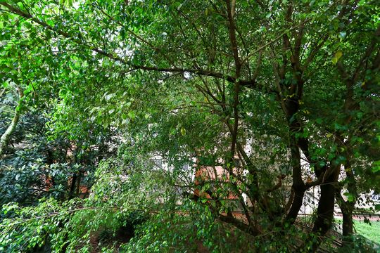 quarto 1 vista de apartamento à venda com 2 quartos, 57m² em Parque Pinheiros, Taboão da Serra