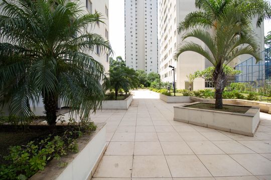 Apartamento à venda com 3 quartos, 74m² em Vila Amélia, São Paulo