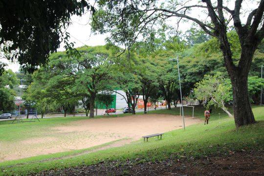 Área externa de casa à venda com 5 quartos, 156m² em Jardim Carvalho, Porto Alegre
