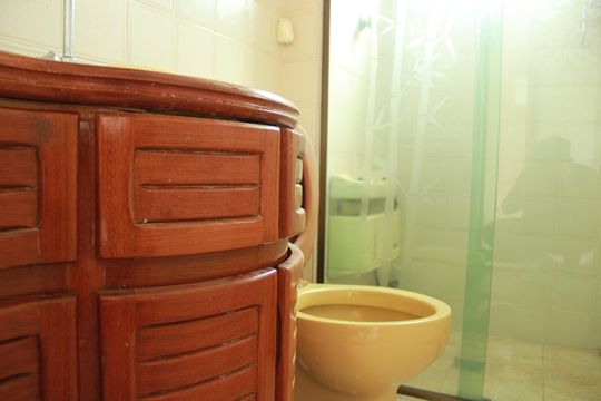Banheiro  de apartamento para alugar com 2 quartos, 60m² em Vila da Saúde, São Paulo