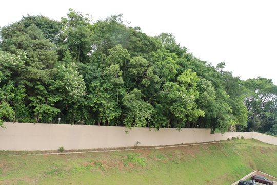 Apartamento para alugar com 2 quartos, 47m² em Granja Viana, Cotia