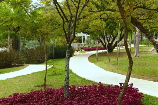 Casa à venda com 4 quartos, 305m² em Alphaville, Santana de Parnaíba