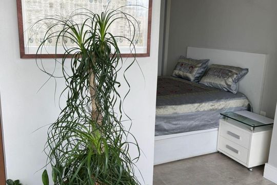 Apartamento à venda com 1 quarto, 55m² em Campo Belo, São Paulo