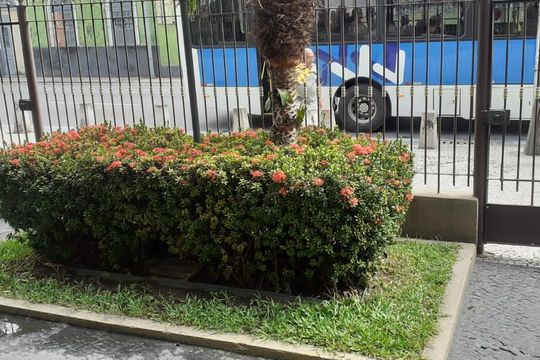 Área externa de apartamento à venda com 2 quartos, 74m² em Sampaio, Rio de Janeiro