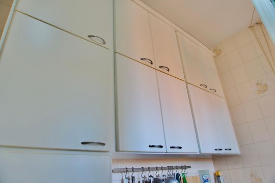 Cozinha - Armários de apartamento à venda com 3 quartos, 64m² em Alto Caiçaras, Belo Horizonte