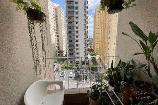 Apartamento à venda com 3 quartos, 79m² em Chora Menino, São Paulo