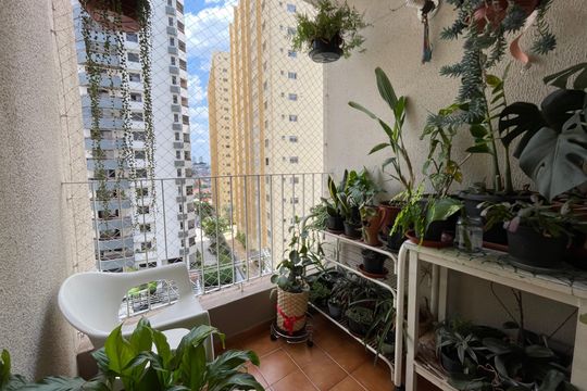 Apartamento à venda com 3 quartos, 79m² em Chora Menino, São Paulo