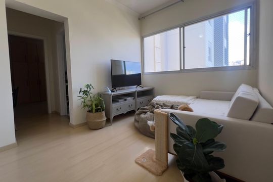 Sala de apartamento à venda com 1 quarto, 60m² em Vila Itapura, Campinas