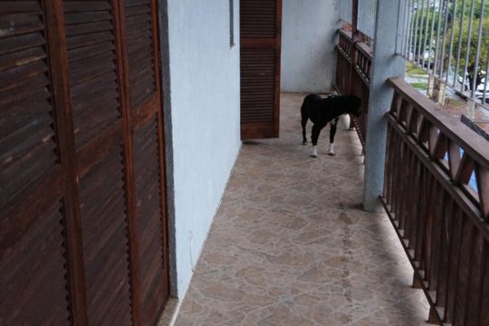 Área Comum de apartamento à venda com 3 quartos, 133m² em Petrópolis, Porto Alegre