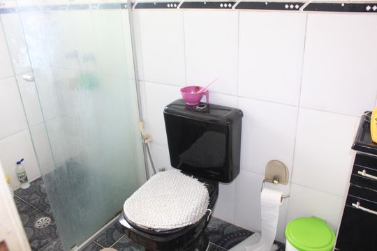 Banheiro de casa para alugar com 3 quartos, 120m² em Parque Sao George, Cotia