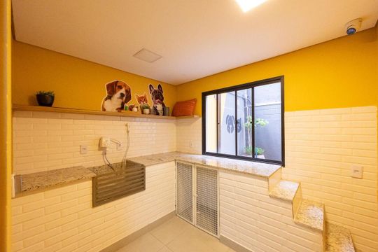 Área comum - Dog Shower de apartamento para alugar com 2 quartos, 35m² em Vila da Saúde, São Paulo