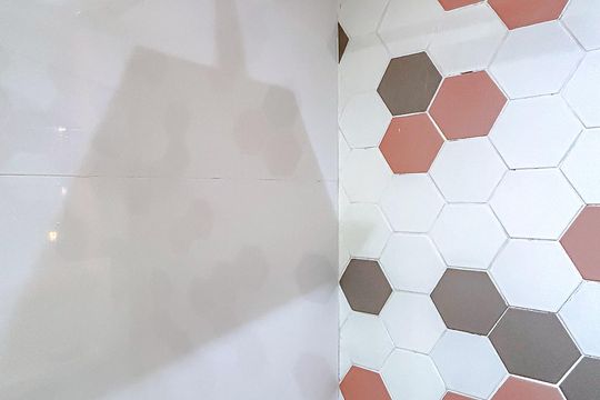 Banheiro de apartamento para alugar com 2 quartos, 50m² em Brás, São Paulo