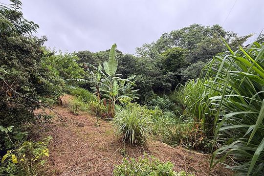 Quintal de casa para alugar com 3 quartos, 120m² em Sapucaias, Contagem