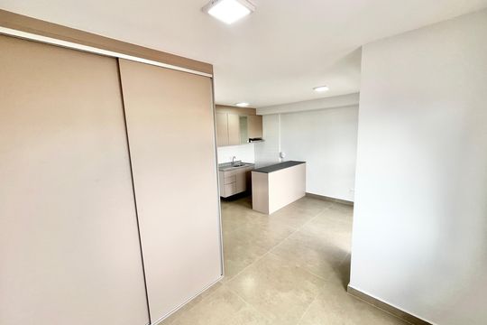 Sala/Cozinha/Quarto de apartamento para alugar com 1 quarto, 30m² em Parada Inglesa, São Paulo