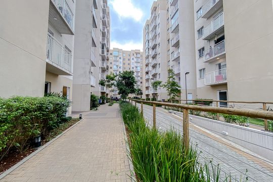 Área comum de apartamento para alugar com 2 quartos, 39m² em Cambuci, São Paulo