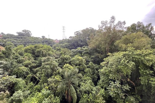 Vista do Quarto 2 de apartamento à venda com 2 quartos, 35m² em Jardim Celeste, São Paulo
