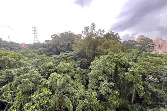 Vista de apartamento à venda com 2 quartos, 35m² em Jardim Celeste, São Paulo