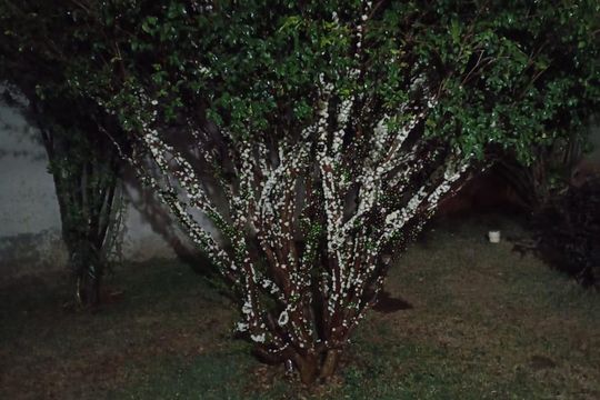 Área externa de casa à venda com 3 quartos, 380m² em Gr Ouro Branco, Contagem