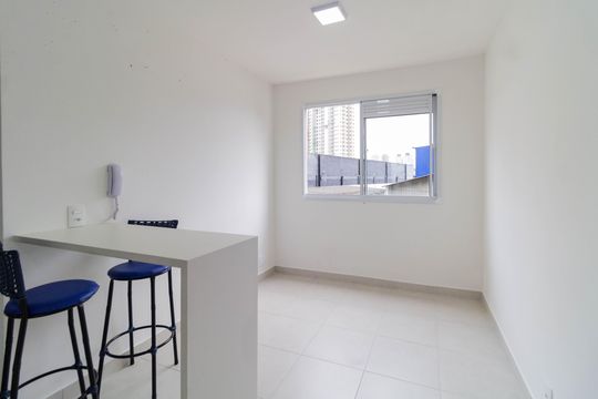 Apartamento à venda com 2 quartos, 35m² em Parque Industrial Tomas Edson, São Paulo