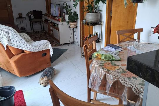 Apartamento à venda com 2 quartos, 59m² em Vila Nova Mazzei, São Paulo