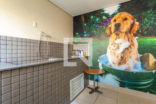 Area comum de apartamento à venda com 2 quartos, 69m² em Vila das Merces, São Paulo