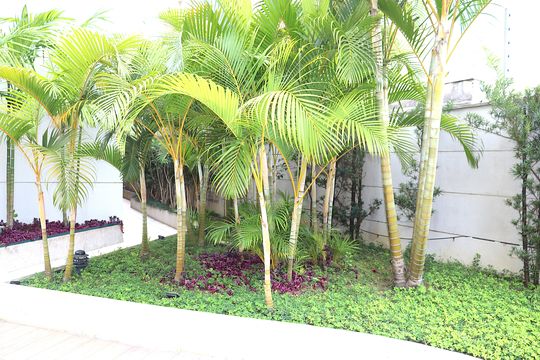 Área Comum de apartamento para alugar com 1 quarto, 38m² em Consolação, São Paulo