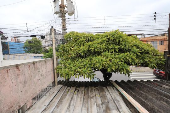 Vista do Quarto 2 de casa para alugar com 2 quartos, 39m² em Chácara Califórnia, São Paulo