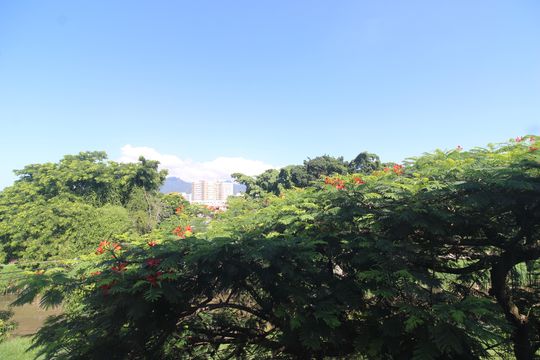 Quarto 1 - Vista de apartamento à venda com 2 quartos, 48m² em Taquara, Rio de Janeiro