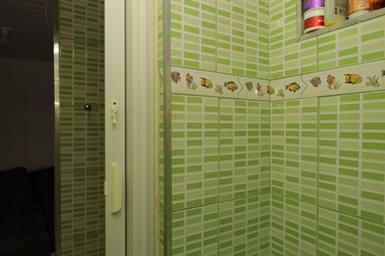 Banheiro de apartamento para alugar com 2 quartos, 46m² em Itaquera, São Paulo