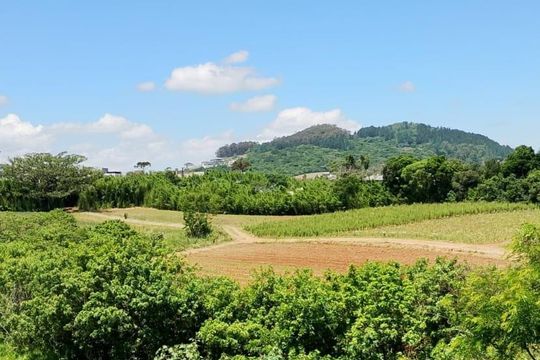 Vista da janela de apartamento à venda com 2 quartos, 45m² em Vila Nova, Porto Alegre