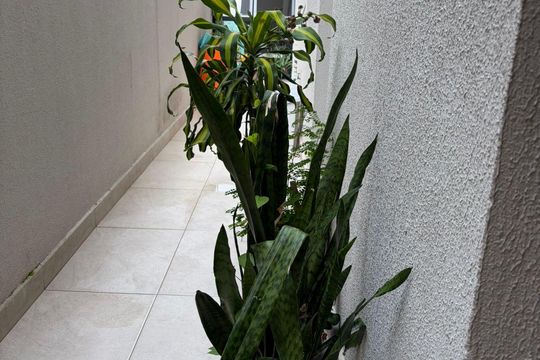 Área externa de casa à venda com 3 quartos, 220m² em Anchieta, São Bernardo do Campo