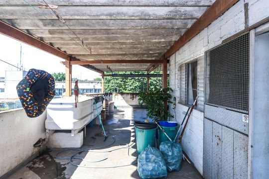 Quintal de casa à venda com 3 quartos, 333m² em Vila Água Funda, São Paulo