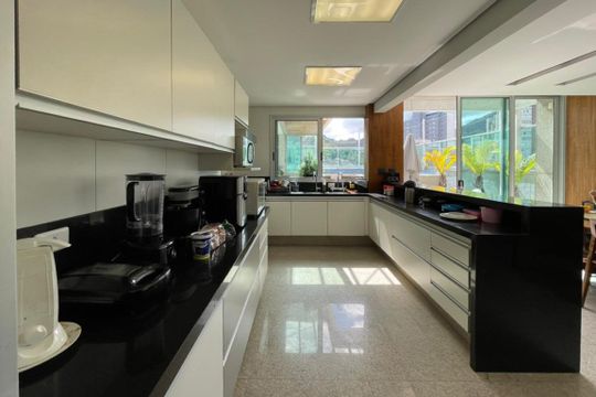 Apartamento à venda com 4 quartos, 314m² em Serra, Belo Horizonte