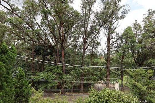Vista da Varanda de casa de condomínio à venda com 4 quartos, 483m² em Jardim Guedala, São Paulo