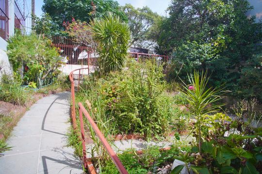 Jardim de casa para alugar com 2 quartos, 300m² em Jardim Carvalho, Porto Alegre