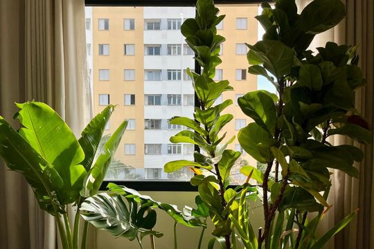 Vista da Sala de apartamento à venda com 2 quartos, 70m² em Jardim Dom Vieira, Campinas
