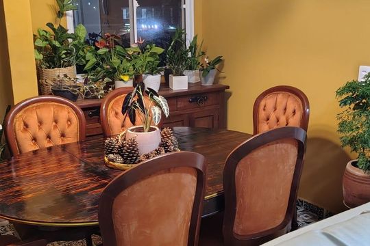 Sala de apartamento para alugar com 1 quarto, 30m² em Jardim Jaragua (sao Domingos), São Paulo