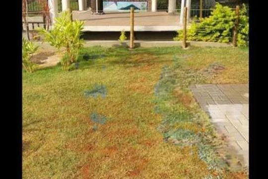 Apartamento à venda com 2 quartos, 56m² em Jacarepaguá, Rio de Janeiro