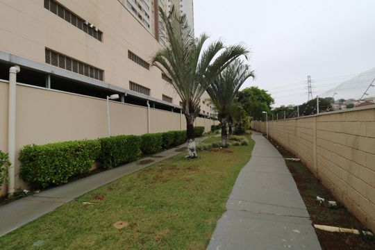 Área Comum - Pista de caminhada de apartamento à venda com 2 quartos, 80m² em Campestre, Santo André