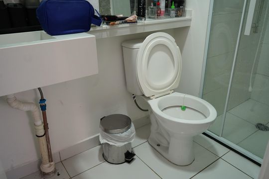Banheiro de apartamento para alugar com 1 quarto, 30m² em Guaiauna, São Paulo